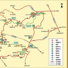 团购票（10人以上，包括10人）